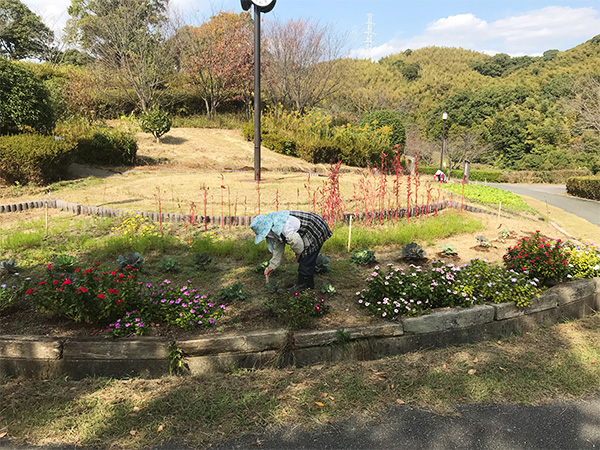 高田濃施山公園　花を植える方々